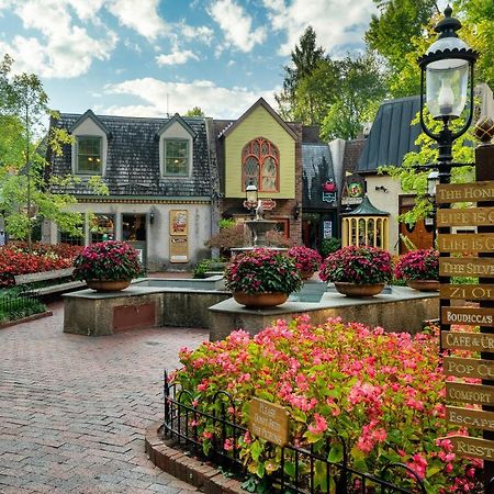 Bluebearry Patch Villa แกตลิงเบิร์ก ภายนอก รูปภาพ